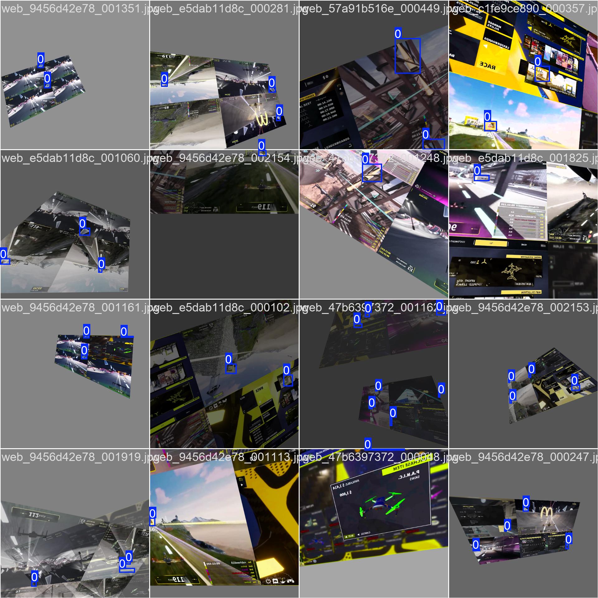 Training batch mosaic